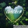 Charchoob (feat. Tohi) - Single