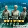 Hail to Bermuda - Single