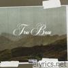 The Bear - Single