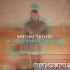 Bertine Zetlitz lyrics