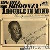 Big Bill Broonzy - Trouble In Mind - Previously Unissued Live Concert Recordings