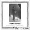 Big Bill Broonzy, Vol. 13 (1949-1951)