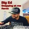 Snapping at me (Remix) - Single