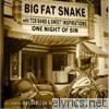 Big Fat Snake - One Night of Sin