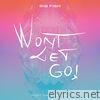 Won't Let Go (feat. David Blank) - EP