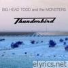 Thunderbird - Single