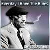 Everyday I Have the Blues