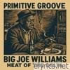 Primitive Groove - Big Joe Williams Heat of the Delta