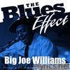 The Blues Effect - Big Joe Williams