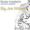 Blues Masters Big Joe Williams (Volume 16)