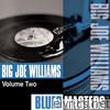 Blues Masters: Big Joe Williams, Vol. 2