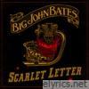 Scarlet Letter - Single