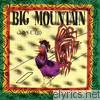 Big Mountain - Wake Up