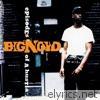 Big Noyd - Episodes of a Hustla