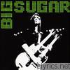 Big Sugar - Brothers & Sisters, Are You Ready?