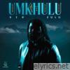 Big Zulu lyrics
