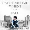 If You Catch Me When I Fall - Single