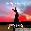 The Sky Is Bleeding - EP