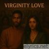 Virginity Love (Radio Edit) - Single