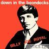 Billy Joe Royal - Down in the Boondocks