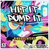 Hit It Pump It - Single