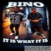 IT IS WHAT IT IS - Single