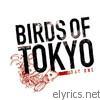 Birds Of Tokyo - Day One