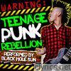 Warning: Teenage Punk Rebellion