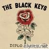 No Rain, No Flowers (Diplo Remix) - Single