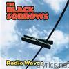 Black Sorrows - Radio Waves (Live)