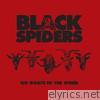 Black Spiders - No Goats In The Omen