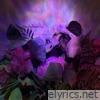 Dandylines (Slowed + Reverb) - Single