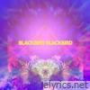 Blackbird Blackbird lyrics