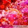 Clementine - Single
