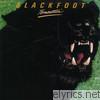 Blackfoot - Tomcattin'