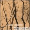 I Still Hear You - Single