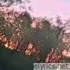 LOVE - Single