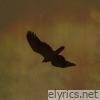 Fly Away
