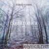 Chilltronica No. 3 - Night Music for the Cold & Rainy Season