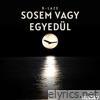 Sosem Vagy Egyedül - Single