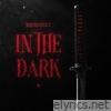 In the Dark (Extended Mix) - Single