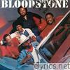 Bloodstone - We Go a Long Way Back (Bonus Track Version)