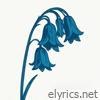 Bluebells lyrics