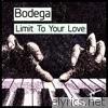 Limit to Your Love - Single