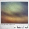 Fruit Flies - Single