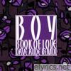 Boy (Dave Audé Remix) - Single