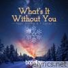 What's It Without You (feat. Pismo & T.Lucas) - Single