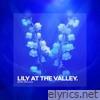 Lily At The Valley - Single