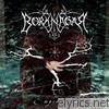 Borknagar - Empiricism