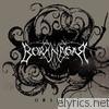 Borknagar - Origin